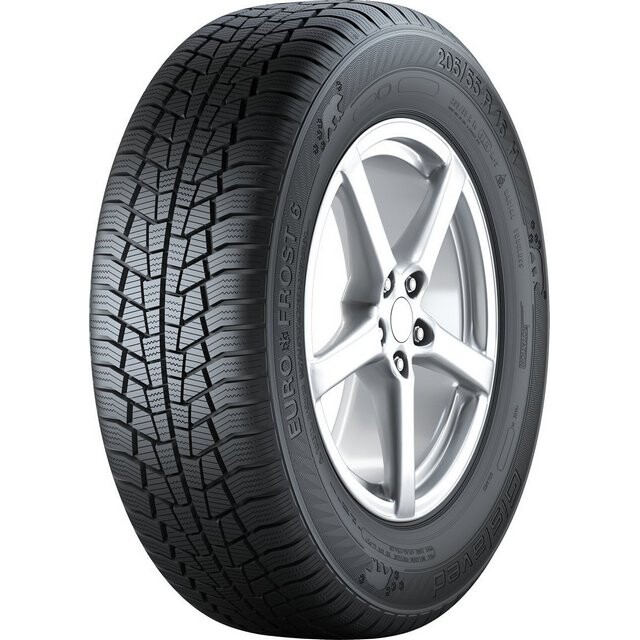 Зимові шини Gislaved Euro Frost 6 205/60 R16 96H XL