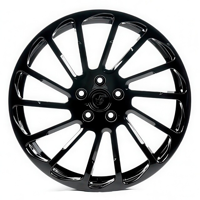 Литі диски WS Forged WS-55M R19 W8 PCD5x112 ET40 DIA57.1 (gloss black)