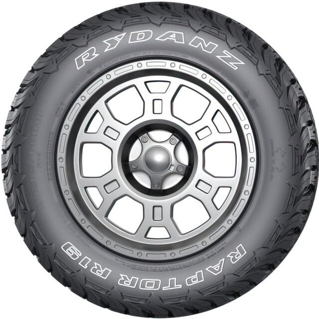 Всесезонні шини Rydanz Raptor R19 265/65 R17 120/117S OWL-зображення-2