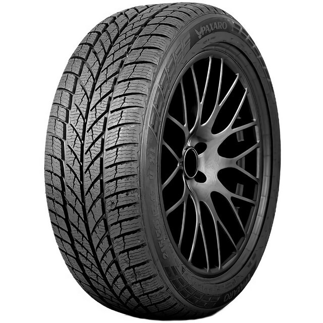 Зимові шини Paxaro Inverno 225/45 R18 95V XL-зображення-1