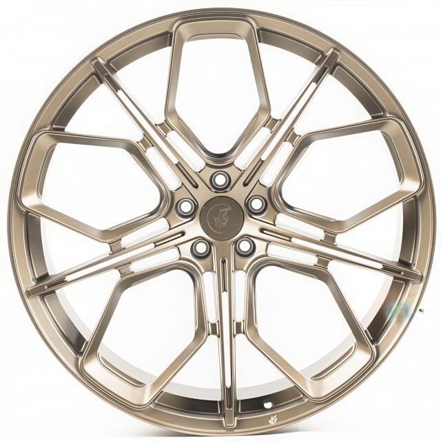 Литі диски WS Forged WS-023C R23 W10.5 PCD5x112 ET10 DIA66.6 (matt bronze)