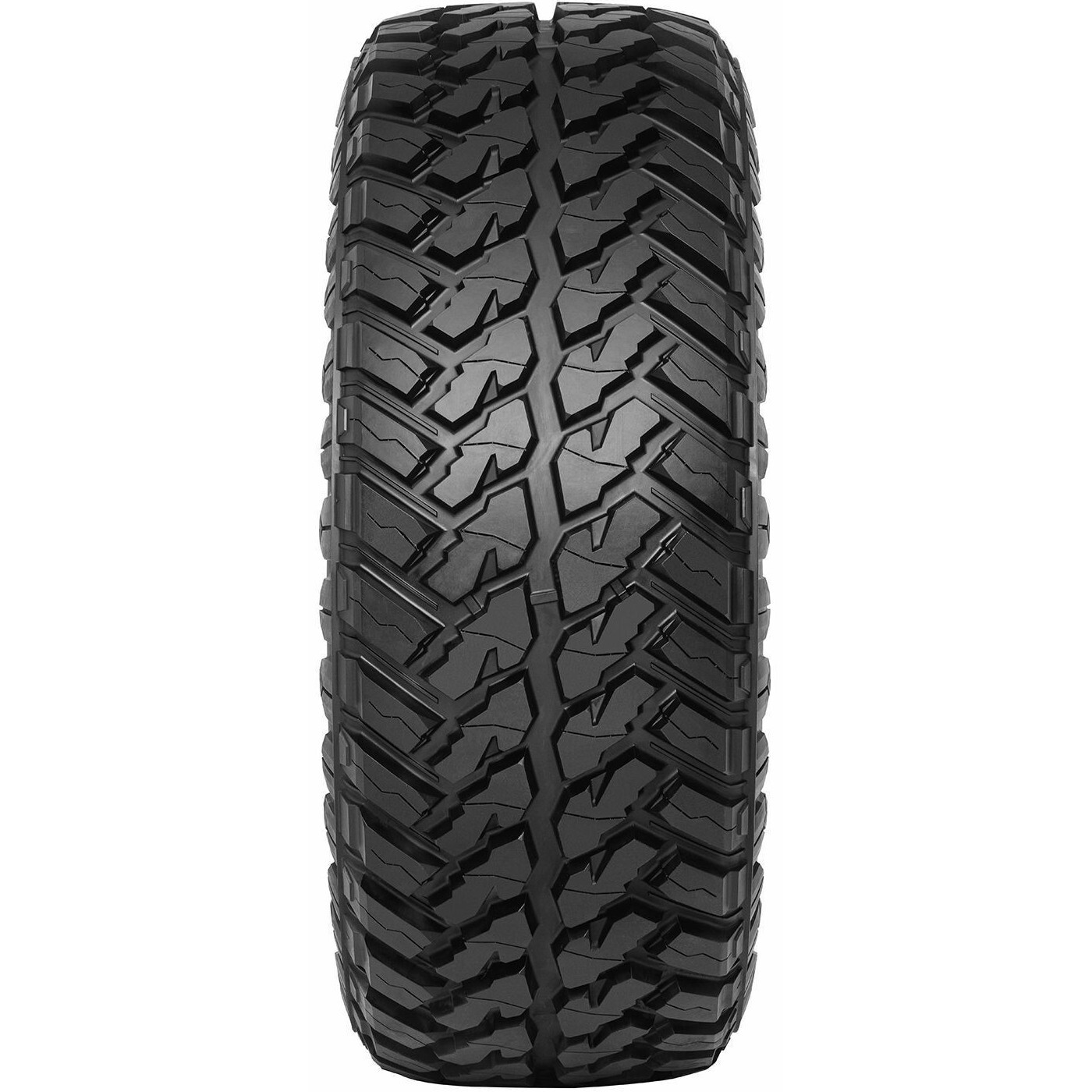 Всесезонні шини Arivo Lion back N39 M/T 215/75 R15 100/97Q