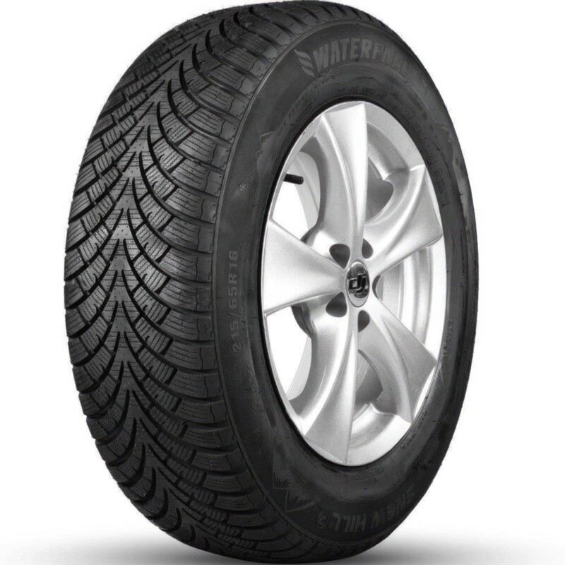Зимові шини Waterfall Eco Winter LT 235/65 R16C 121/119Q-зображення-1