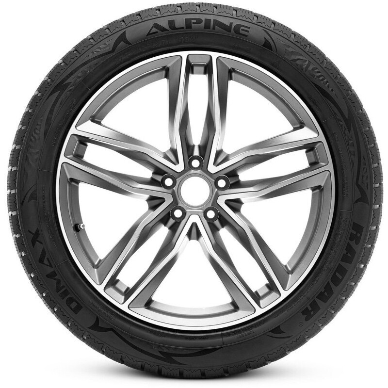 Зимові шини Radar Dimax Alpine 235/60 R18 107V XL-зображення-2
