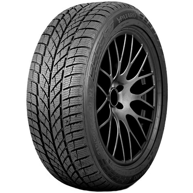 Зимові шини Paxaro Inverno 215/50 R17 95V XL-зображення-1