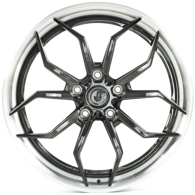 Литі диски WS Forged WS-024C R21 W11.5 PCD5x130 ET69 DIA71.5 (brushed black brushed silver l)