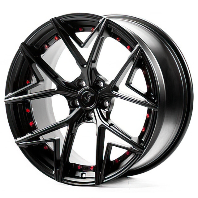 Литі диски WS Forged WS-027C R20 W10 PCD5x112 ET28 DIA66.6 (satin black)-зображення-1